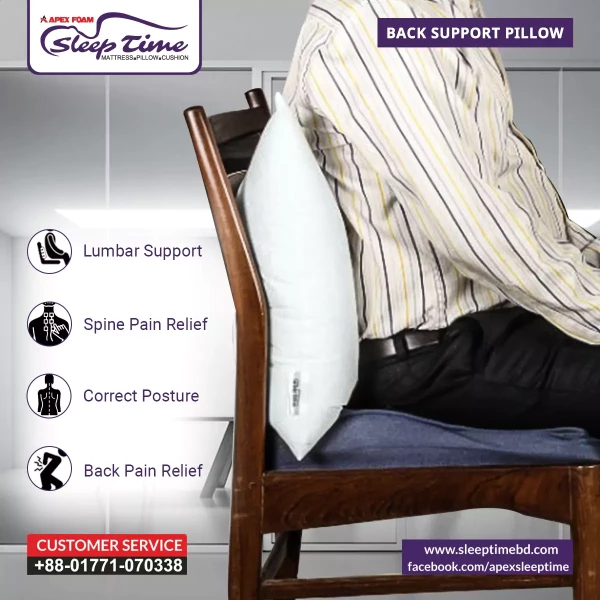 Back Support Pillow