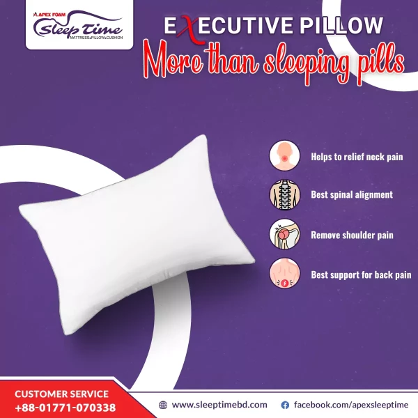 Executive head Pillow